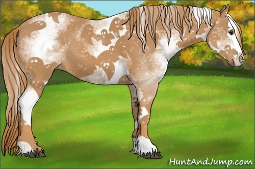 Horse Color:White Spotted Chestnut Splash