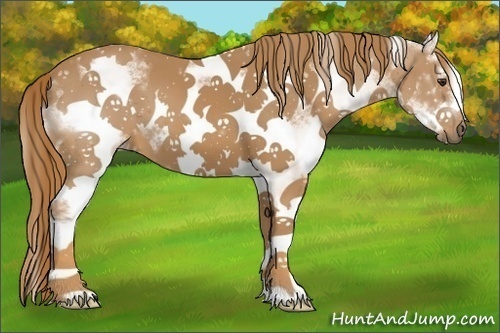 Horse Color:White Spotted Chestnut Splash Frame