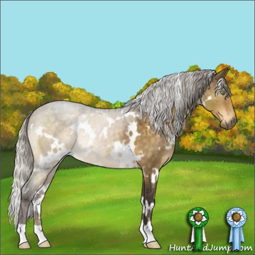 Horse Color:White Spotted Silver Buckskin Dun 