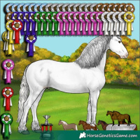 Horse Color:Liver Chestnut Mushroom Appaloosa and Liver Chestnut Mushroom Appaloosa