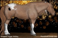Horse Color:Chestnut Tobiano Appaloosa 