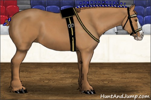 Horse Color:Chestnut Splash 