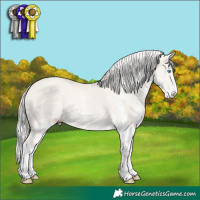 Horse Color:White Spotted Silver Smoky Creme Dun Rabicano 