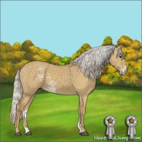 Horse Color:White Spotted Silver Smoky Grullo Rabicano