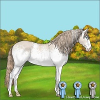 Horse Color:White Spotted Smoky Creme Dun Rabicano 