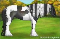 Horse Color:Black Tobiano