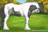 Horse Color:Black Tobiano
