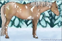 Horse Color:White Spotted Silver Black Pearl Varnish 
