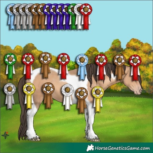 Horse Color:Sable Champagne Tobiano 