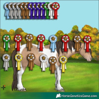 Horse Color:Sable Champagne Tobiano 