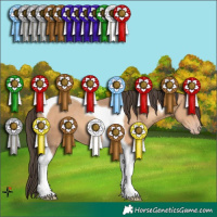 Horse Color:Sable Champagne Tobiano 