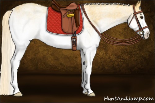 Horse Color:White Spotted Palomino Sabino