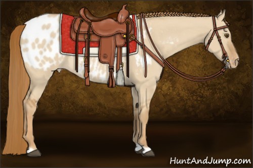 Horse Color:Red Dun Appaloosa 