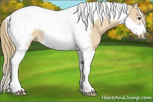 Horse Color:Red Dun Tobiano Frame 