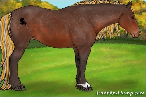Horse Color:Painted Silver Brown Appaloosa 