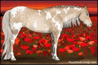 Horse Color:White Spotted Silver Buckskin Pearl 