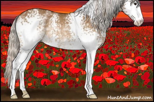 Horse Color:White Spotted Silver Buckskin Rabicano 