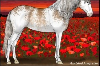 Horse Color:White Spotted Silver Buckskin Rabicano 