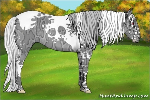 Horse Color:Silver Grullo Chinchilla Ice Splash Tobiano 