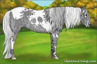 Horse Color:Silver Grullo Chinchilla Ice Splash Tobiano 