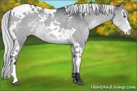Horse Color:Silver Grullo Chinchilla Splash Tobiano 