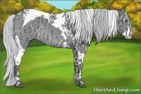 Horse Color:Silver Grullo Chinchilla Ice Splash Tobiano 