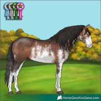Horse Color:White Spotted Brown Mushroom Sabino Splash