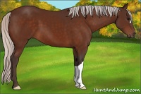 Horse Color:Silver Brown 