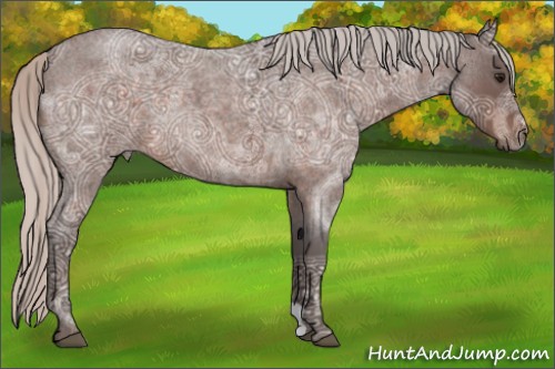 Horse Color:Silver Brown Ice Roan 