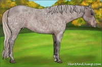 Horse Color:Silver Brown Ice Roan