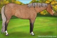 Horse Color:Silver Buckskin Roan Sabino Rabicano