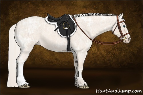 Horse Color:Cremello Ice Roan 