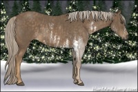 Horse Color:Chocolate Palomino Sabino  Brindle