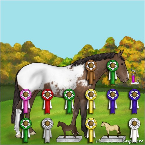 Horse Color:Buckskin Appaloosa 