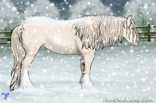 Horse Color:Perlino Sabino Rabicano 