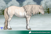 Horse Color:Perlino Sabino Rabicano