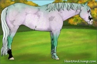Horse Color:Watercolor Silver Brown Chinchilla Ice Sabino Rabicano
