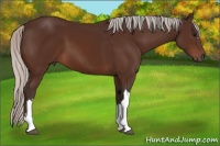 Horse Color:Silver Brown 