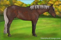 Horse Color:Silver Brown 