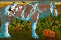 Horse Color:Thunderstruck White Spotted Chestnut Appaloosa 