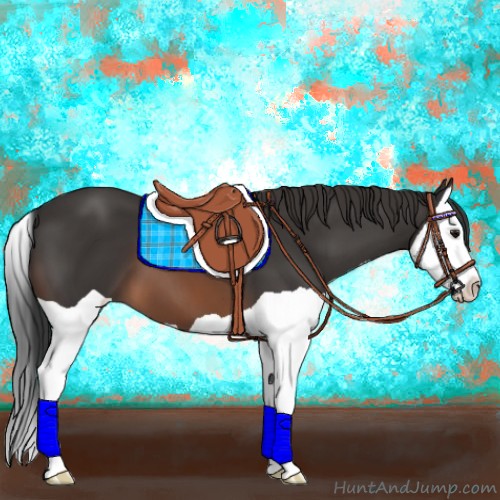 Horse Color:Brown Splash