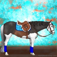 Horse Color:Brown Splash