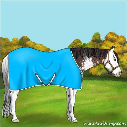 Horse Color:Brown Sabino Splash 