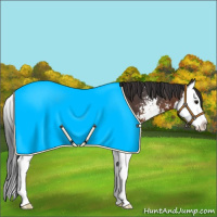 Horse Color:Brown Sabino Splash
