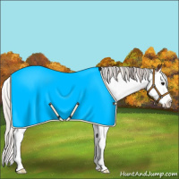 Horse Color:Silver Brown Sabino Splash 