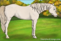 Horse Color:Smoky Creme Roan 