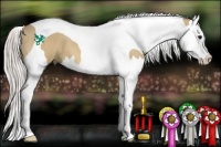 Horse Color:Silver Bay Pearl Dun Splash Tobiano 