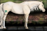 Horse Color:Palomino Pearl