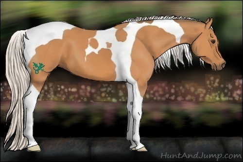 Horse Color:Silver Bay Tobiano
