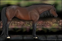 Horse Color:Brown 